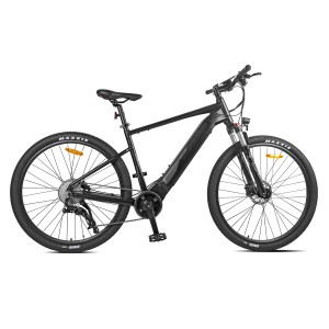 29” Suspension Shock Absorber Mountain Bike 10SP Electric MTB M9E1