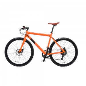 Light Weight 9SP Electric Road Bike E7009