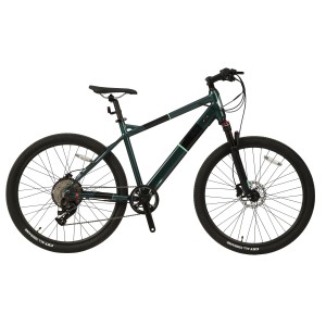 Electric Mountain Bike MTB1.0