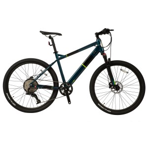 Electric Mountain Bike MTB1.0