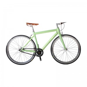 Electric Single Speed Road Bike E7001C