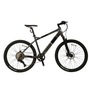 Electric Mountain Bike MTB1.0
