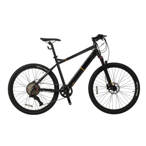 Electric Mountain Bike MTB1.0