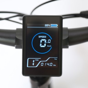 Electric 20” Foldable Fat Bike E2050M