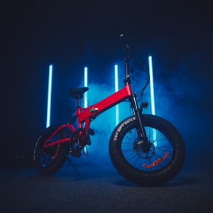 20” Aluminium Alloy Frame Electric Foldable Wide Tire Bike E2040L