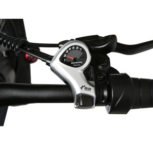Electric 20” Foldable Fat Bike E2050M