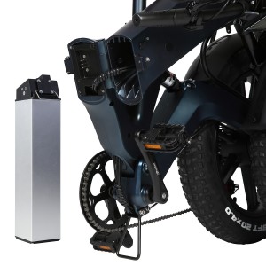 Electric 20” Foldable Fat Bike E2050M
