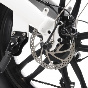 20” Electric Foldable Fat Bike 350W 6SP Snow Bike E2060A