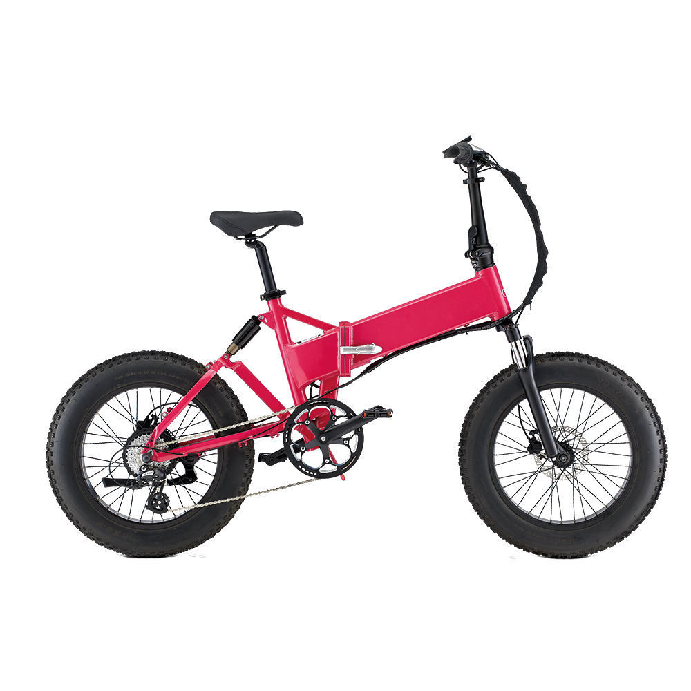20” Aluminium Alloy Frame Electric Foldable Wide Tire Bike E2040L