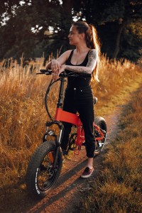 20” Aluminium Alloy Frame Electric Foldable Wide Tire Bike E2040L
