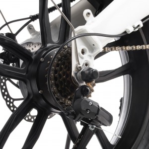 20” Electric Foldable Fat Bike 350W 6SP Snow Bike E2060A
