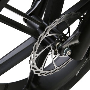 Electric 20” Foldable Fat Bike E2050M