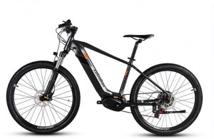27.5” Electric Mid-drive MTB 250w Central Motor 9SP Suspension E275L